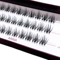 ANNA Cluster trsy