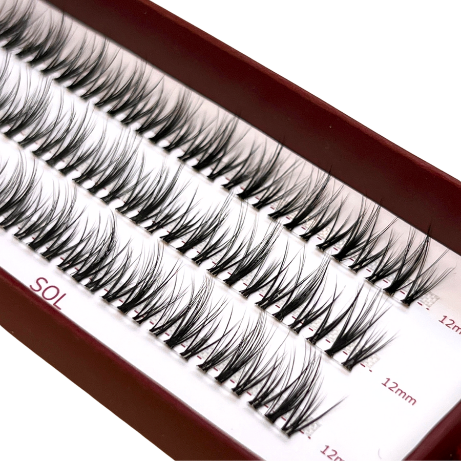 SOL Cluster trsy